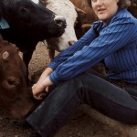 Animal Welfare Animal Welfare
