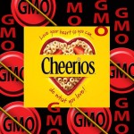 GMO Free Cheerios