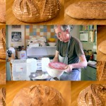 Food Safety