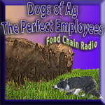 Herd Dogs