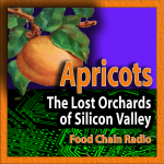 Silicon Valley