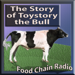 Toystory the Bull