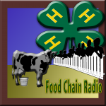 4-H 4-H