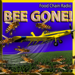 Bee Colony Collapse Bee Colony Collapse