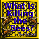 Bee Colony Collapse Bee Colony Collapse