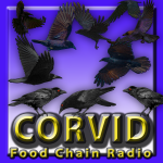 Crows and Corvidae Crows and Corvidae