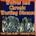 Wolves and Chronic Wasting Disease Wolves and Chronic Wasting Disease