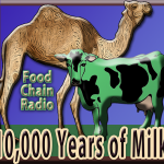 Milk Milk