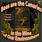 Bees and Pollinators