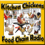 Urban Chickens Urban Chickens