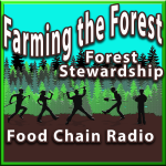 Forest Stewardship Forest Stewardship