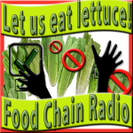 Romaine Lettuce Romaine Lettuce