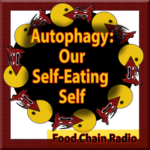 Autophagy Autophagy