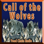 Wolves Wolves
