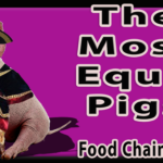 Pasture Pigs