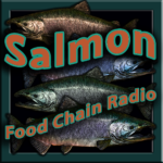 Salmon Salmon