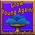 Fountain of Youth Fountain of Youth